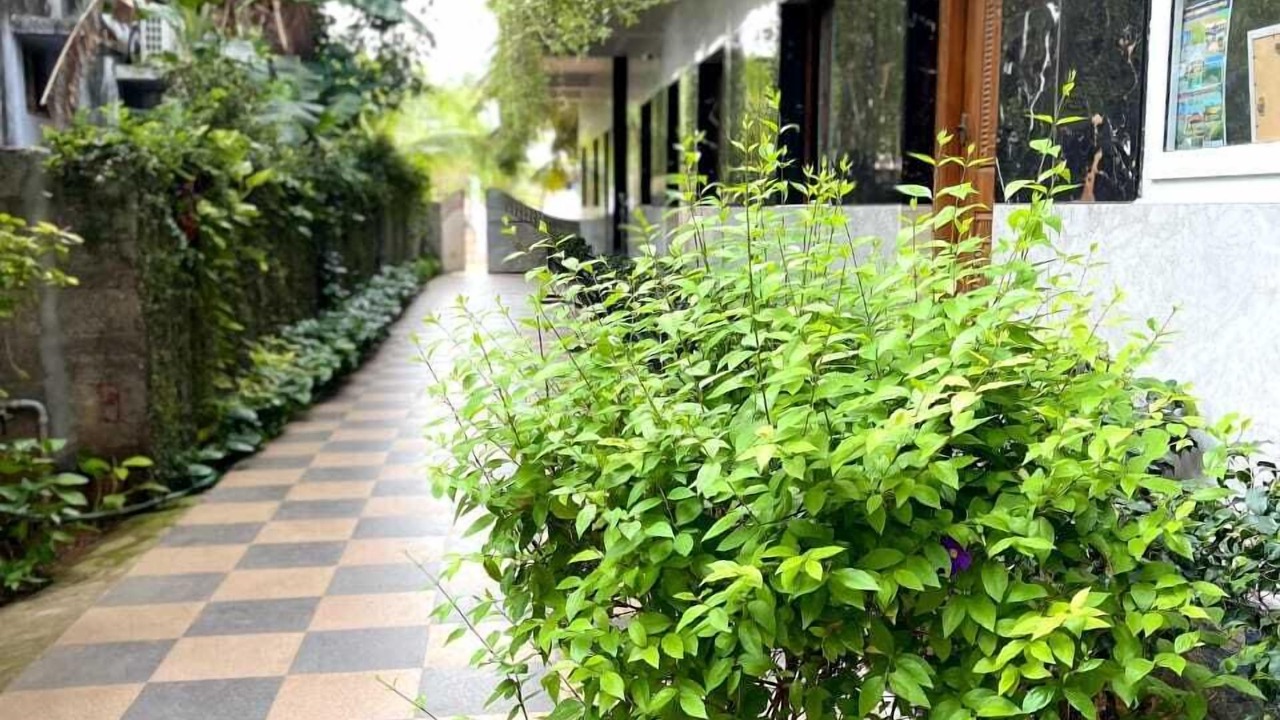 Photo of Outdoor in Chettikulam