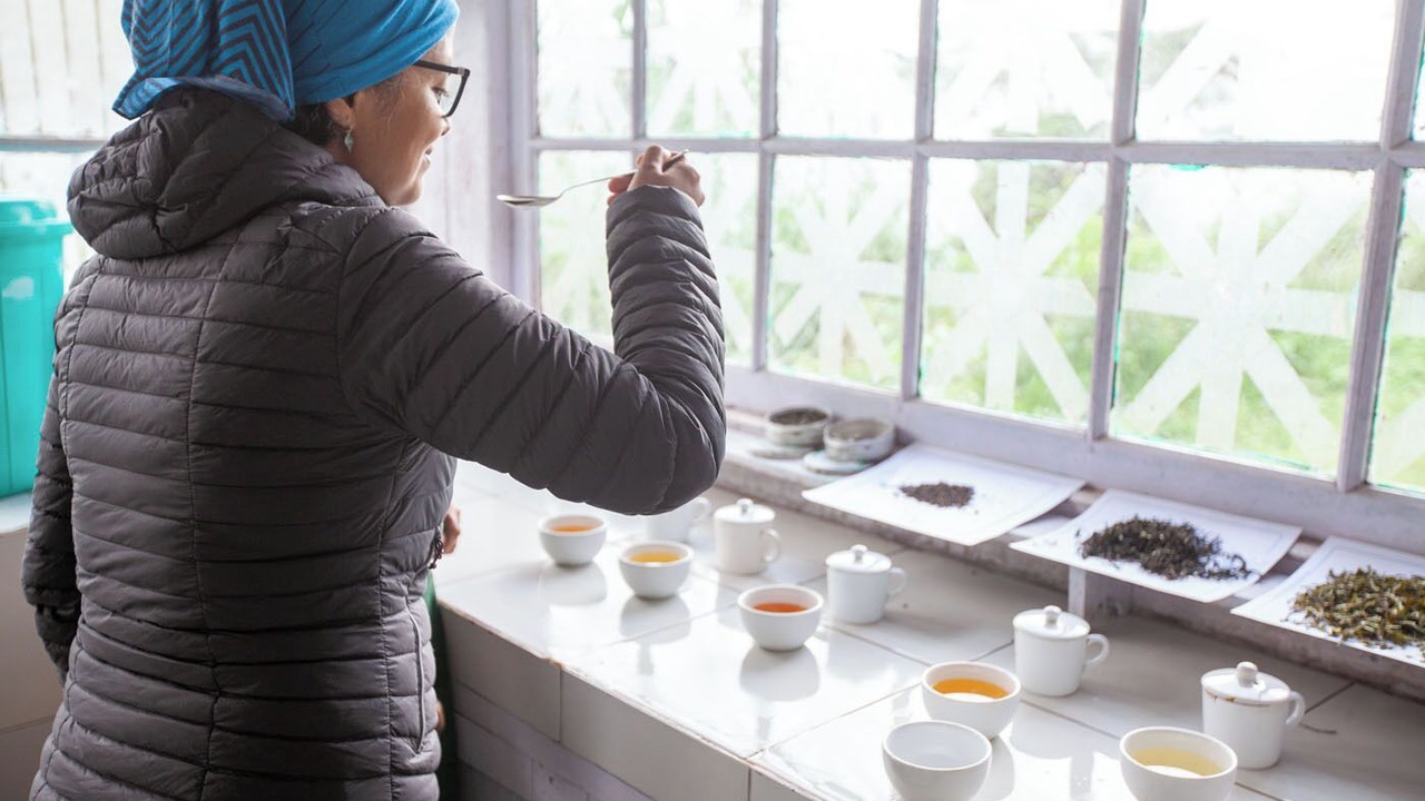 Photo of Others in Darjeeling