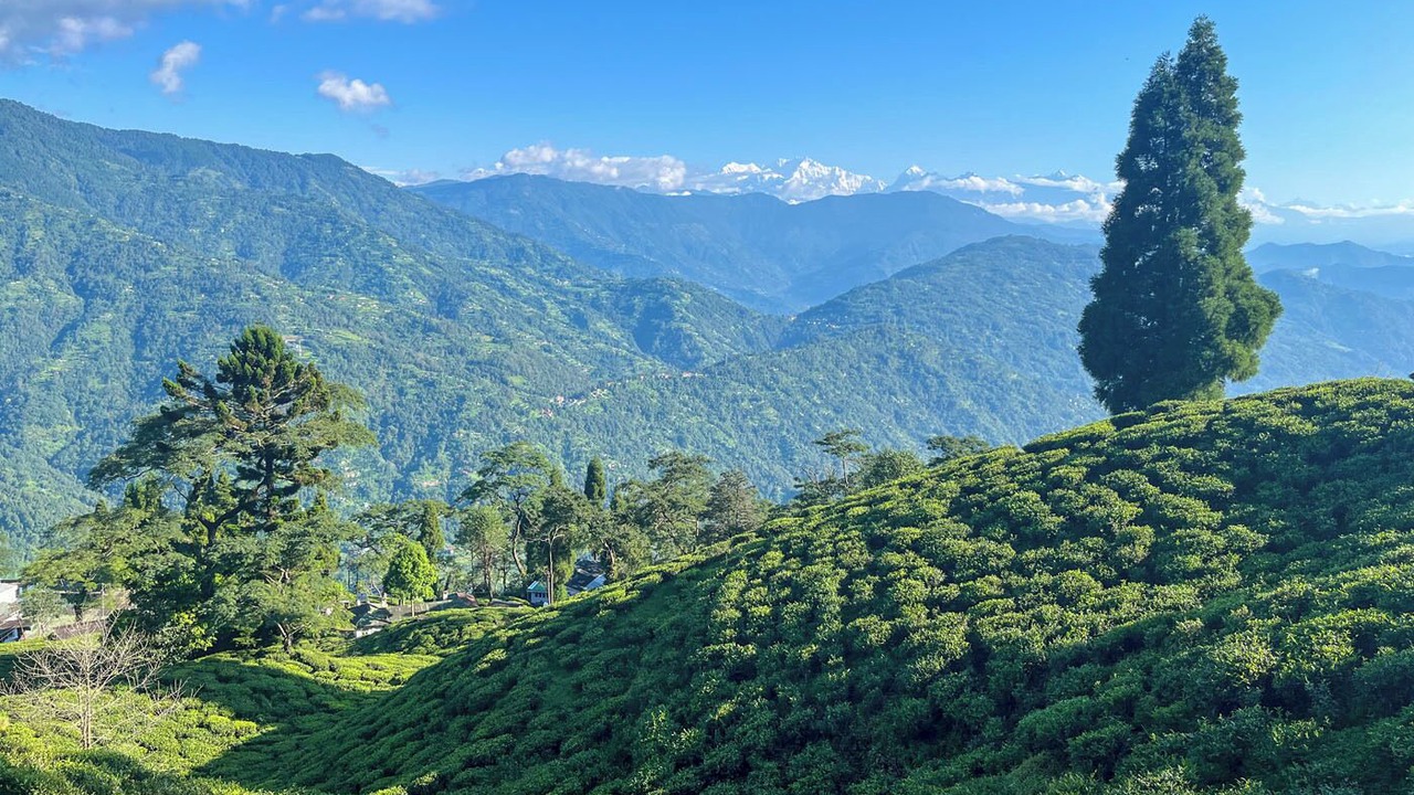 Photo of Others in Darjeeling