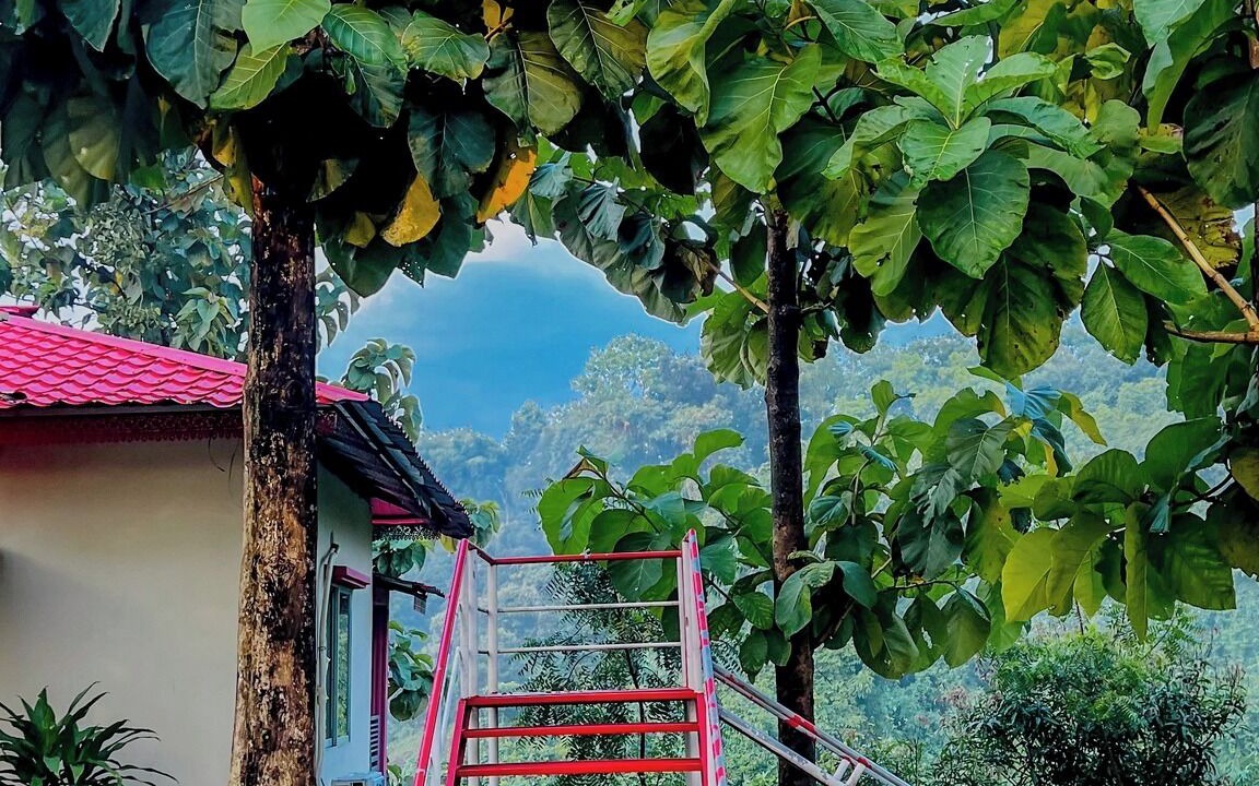 Photo of Outdoor in Bandarban