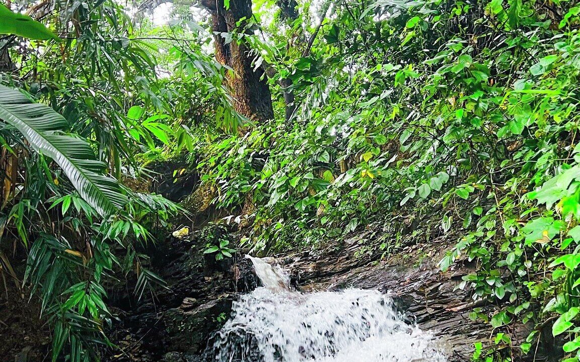 Photo of Outdoor in Bandarban