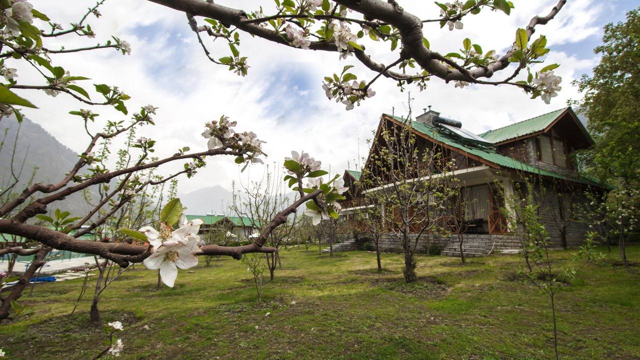 Photo of Outdoor in Manali