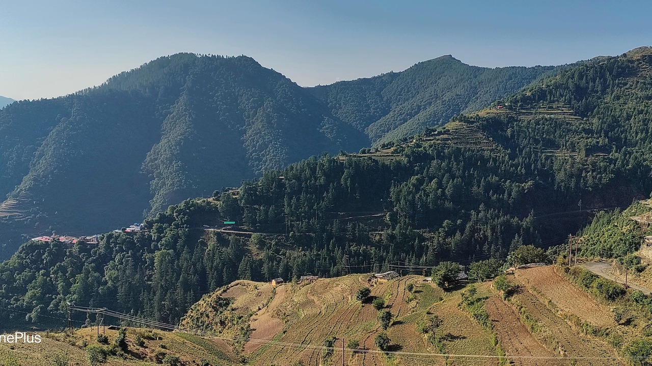 Photo of Others in Chakrata