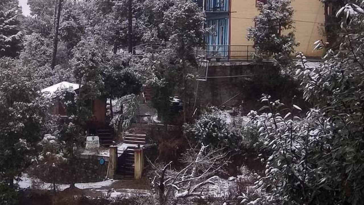 Photo of Outdoor in Turkaura