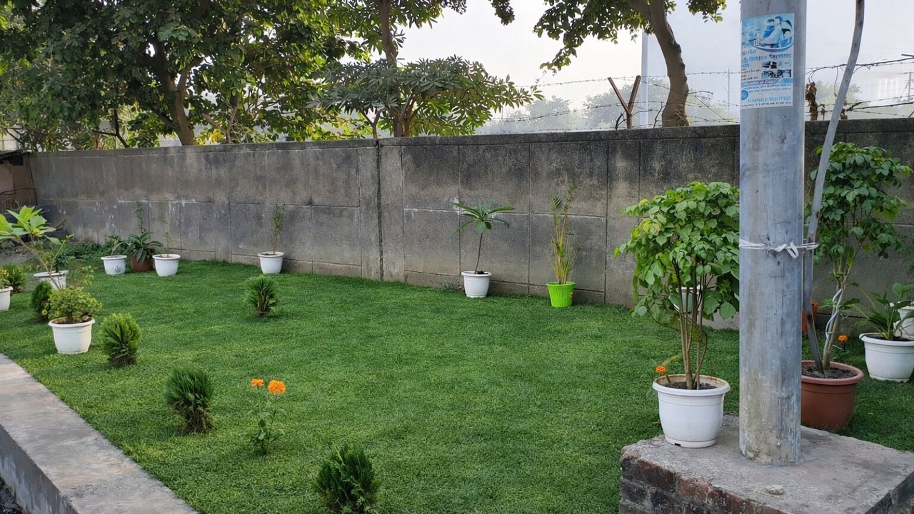 Photo of Outdoor in Noida