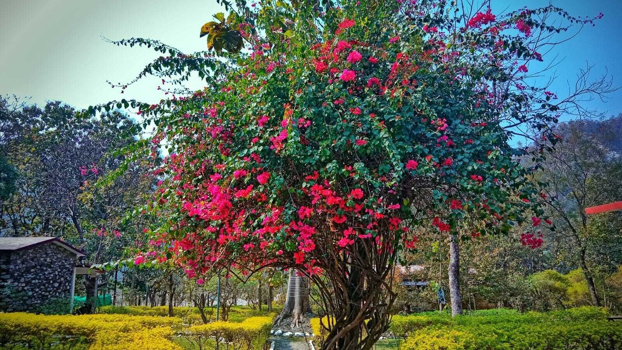 Photo of Outdoor in Marchula