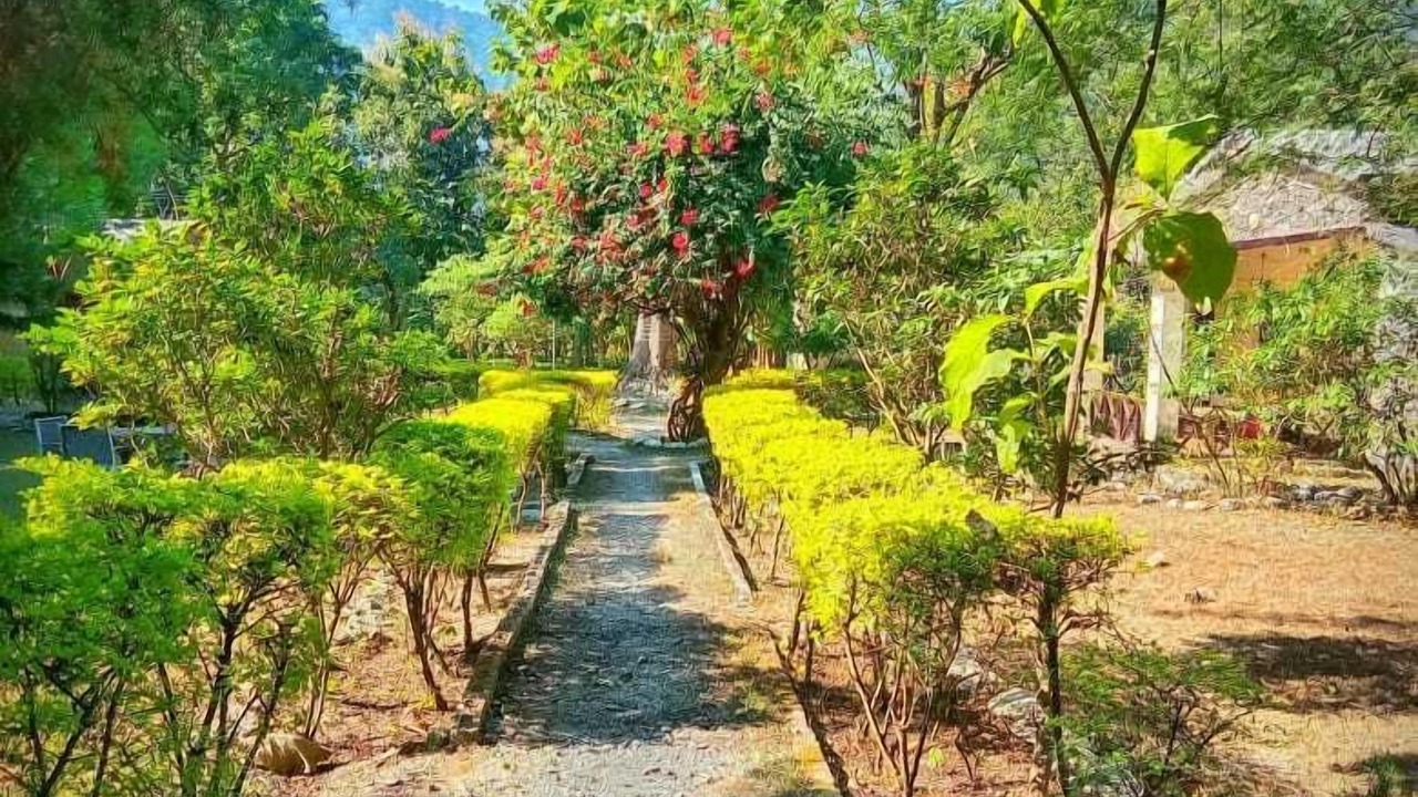 Photo of Outdoor in Marchula