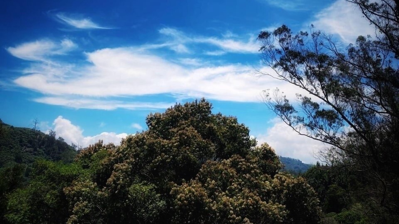 Photo of Others in Ooty
