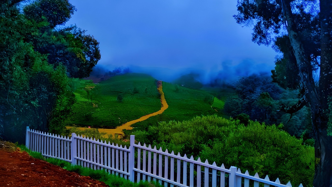 Photo of Others in Ooty