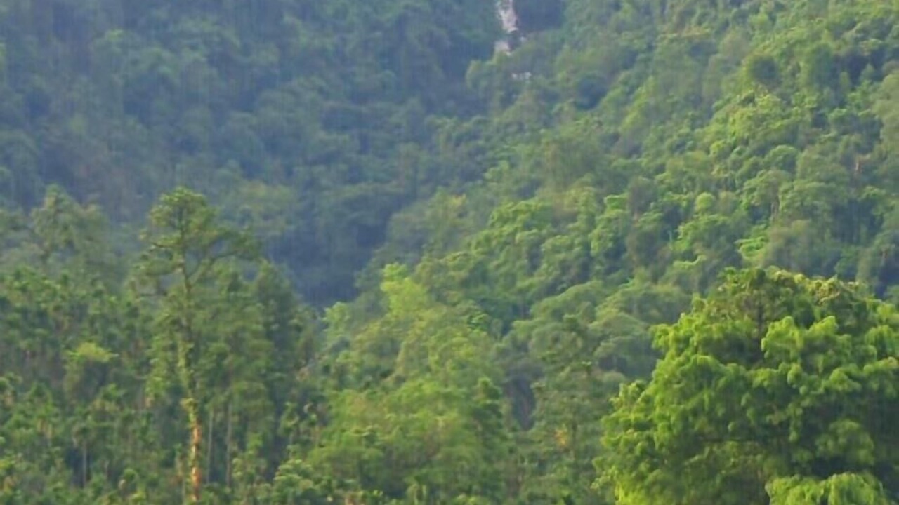 Photo of Outdoor in Sylhet