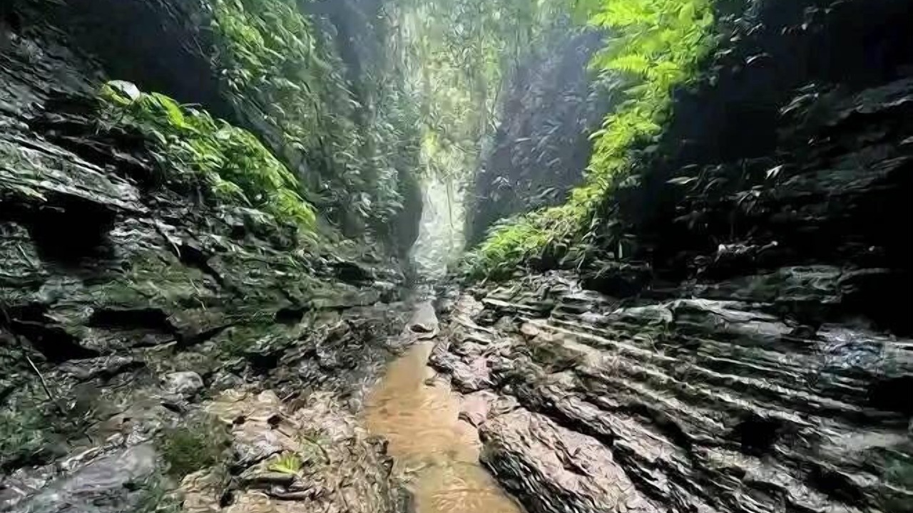 Photo of Outdoor in Sylhet