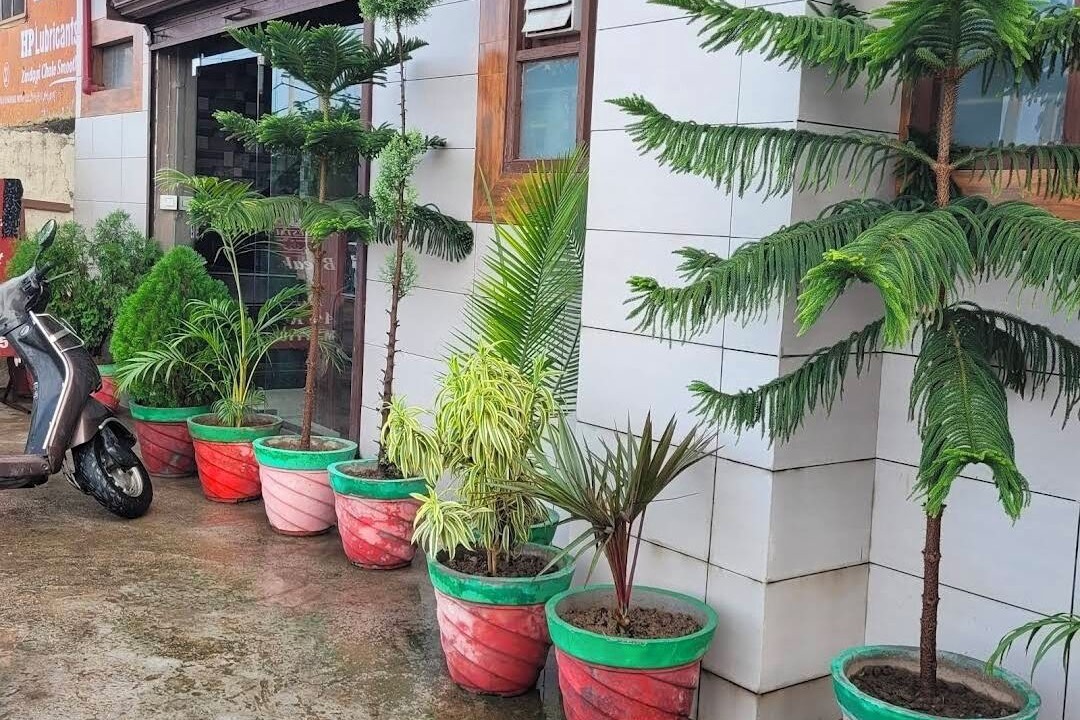 Photo of Outdoor in Ambala