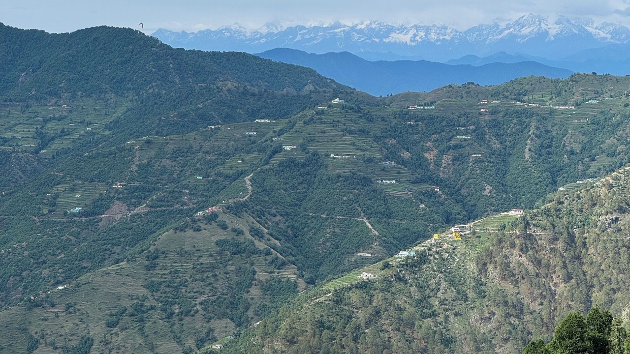 Photo of Others in Dhanaulti