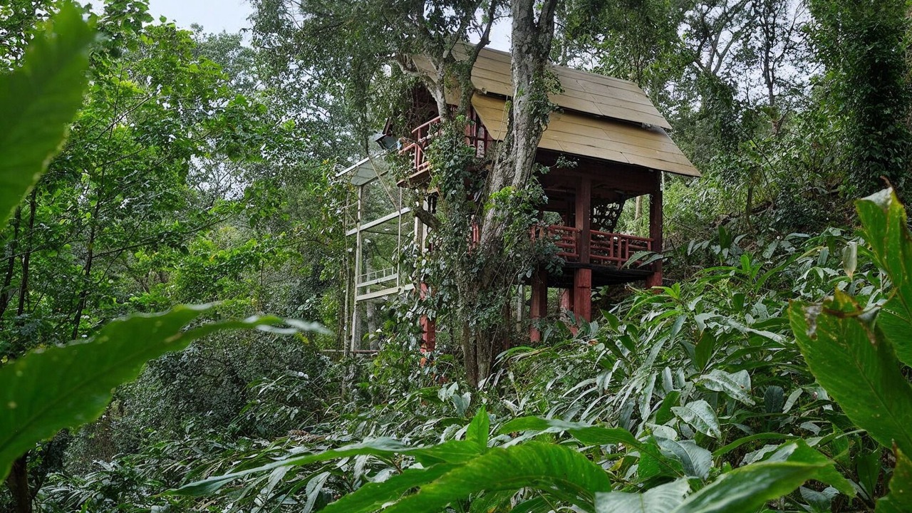 Photo of Patio Balcony in Udumbanchola