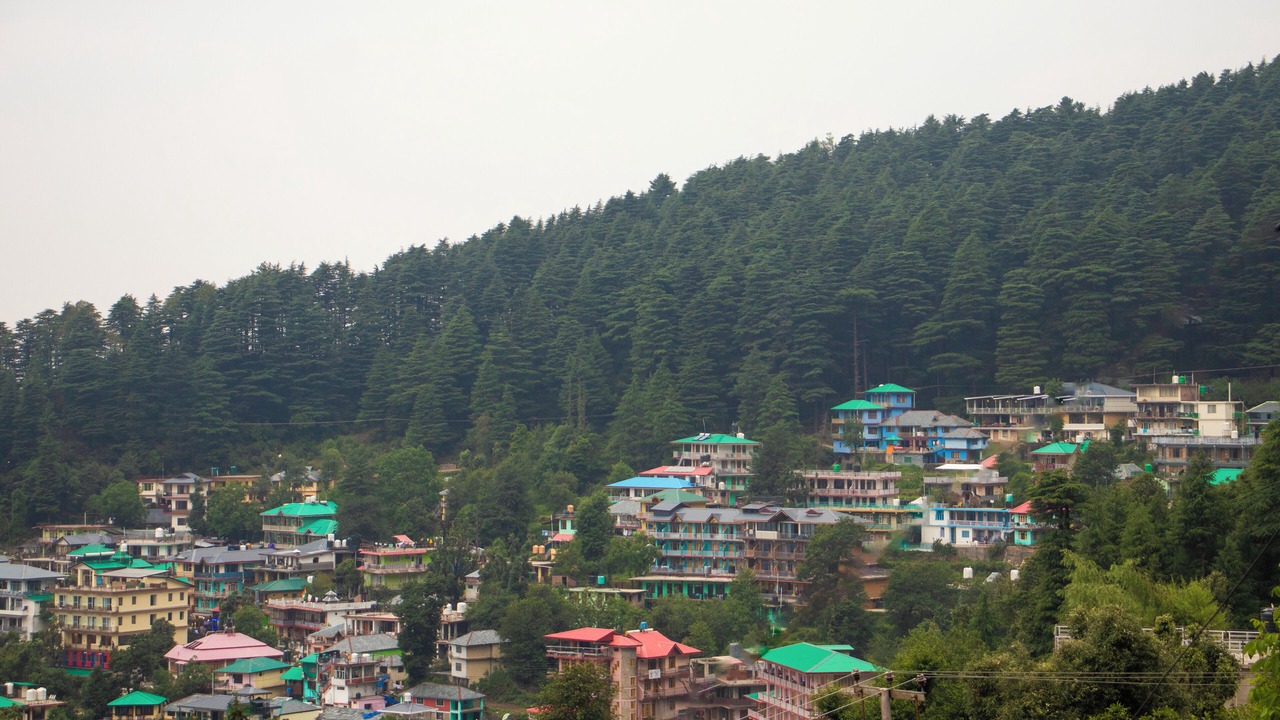 Photo of Outdoor in Dharamkot