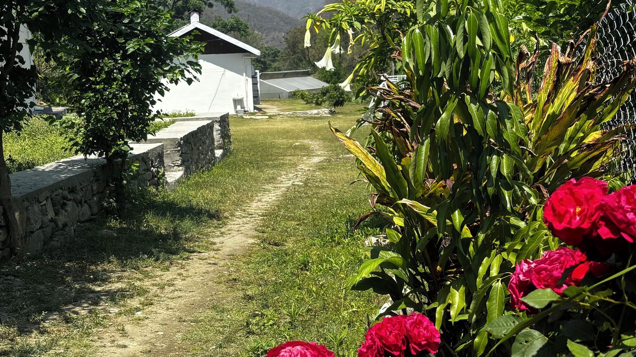 Photo of Outdoor in Pauri