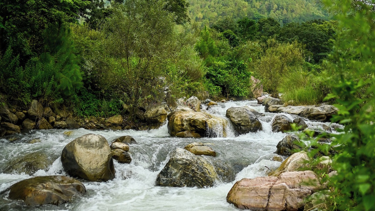 Photo of Outdoor in Pauri