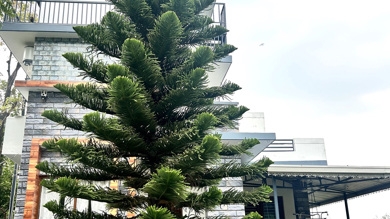 Photo of Outdoor in Bullawala