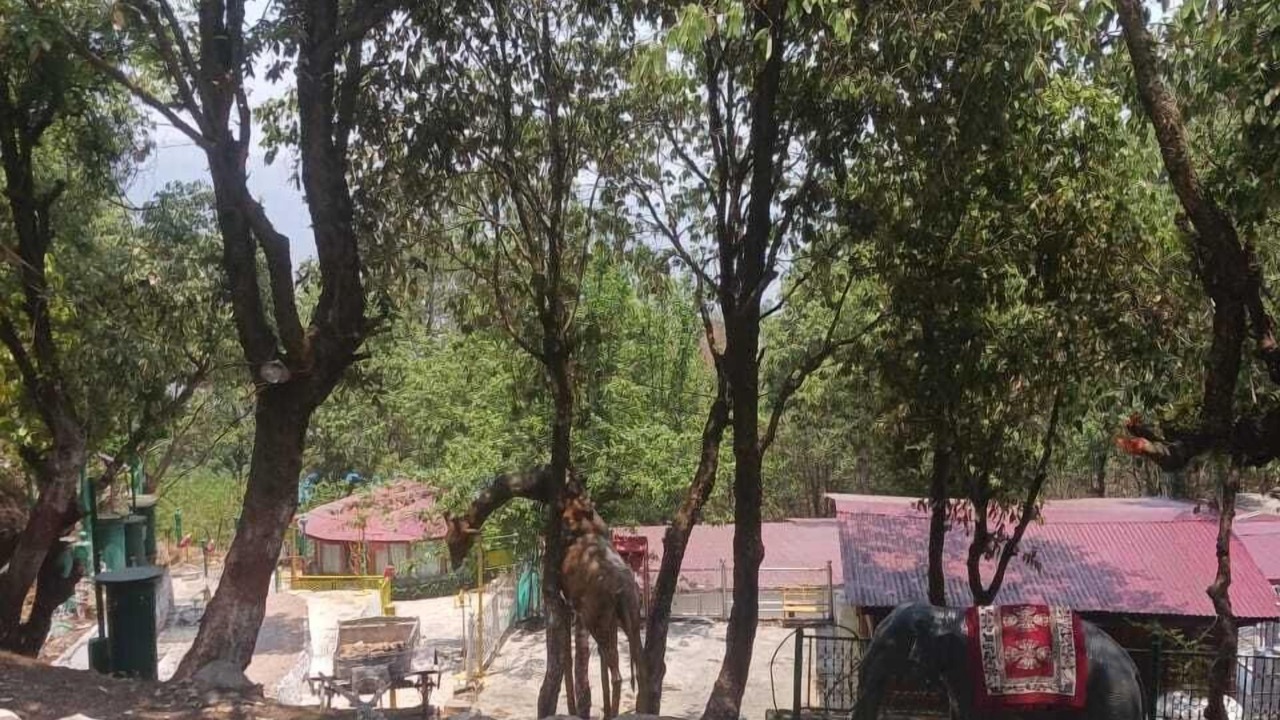 Photo of Outdoor in Bajeri