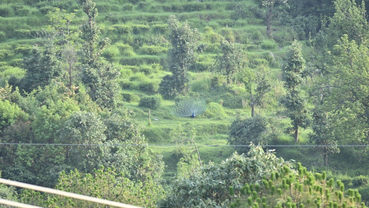 Photo of Outdoor in Jia