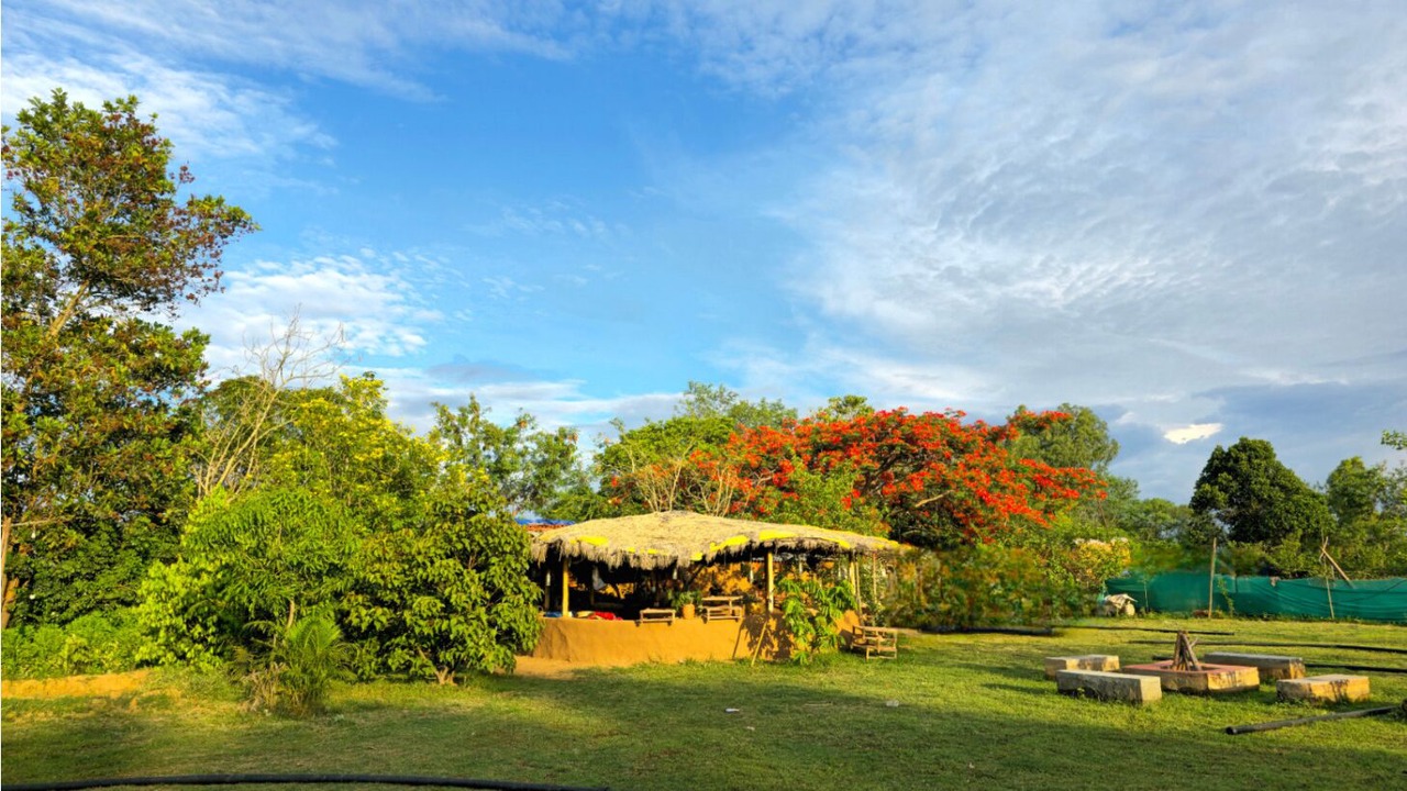 Photo of Outdoor in Bastar