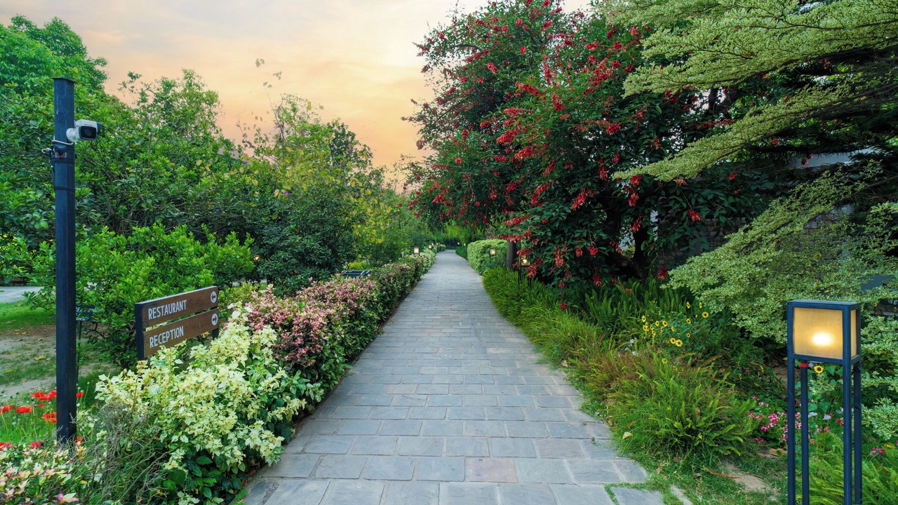 Photo of Outdoor in Ramnagar