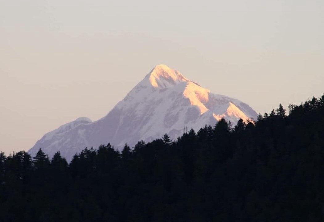 Photo of Others in Naina Range