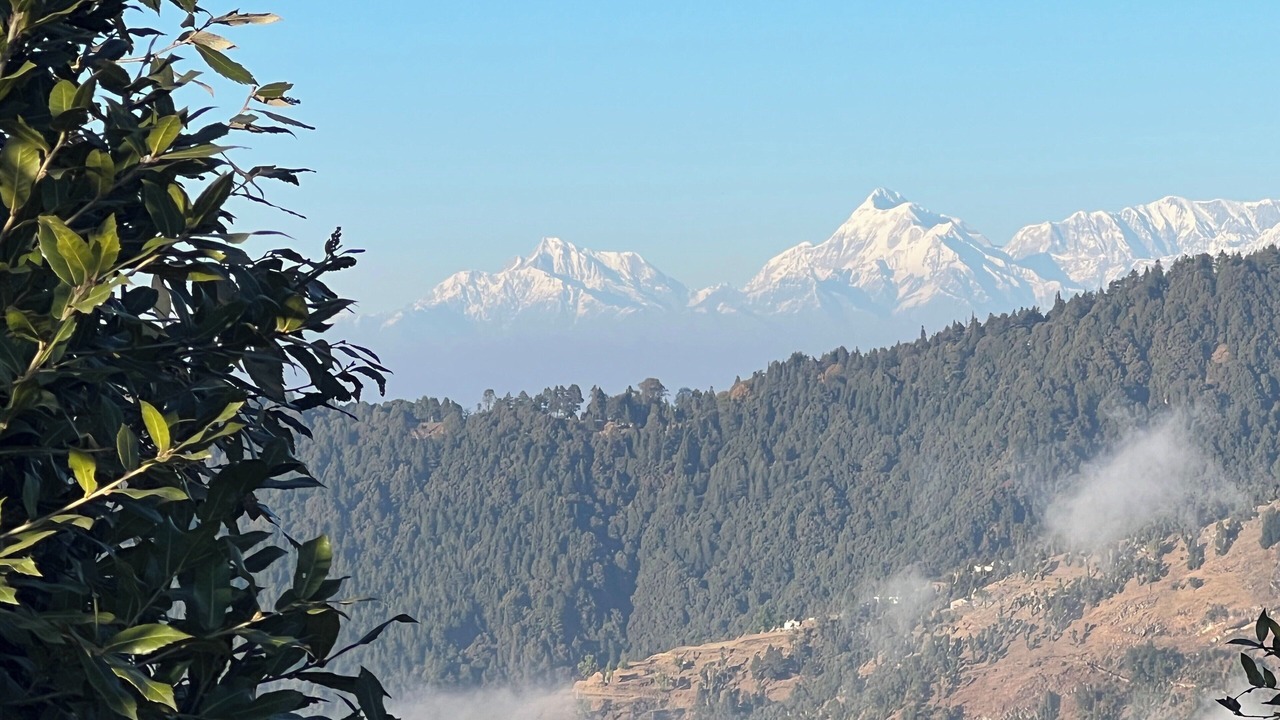 Photo of Others in Naina Range