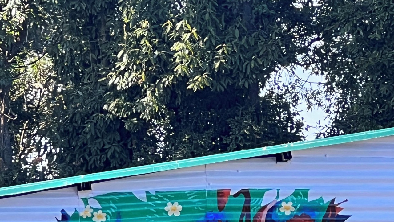 Photo of Outdoor in Naina Range