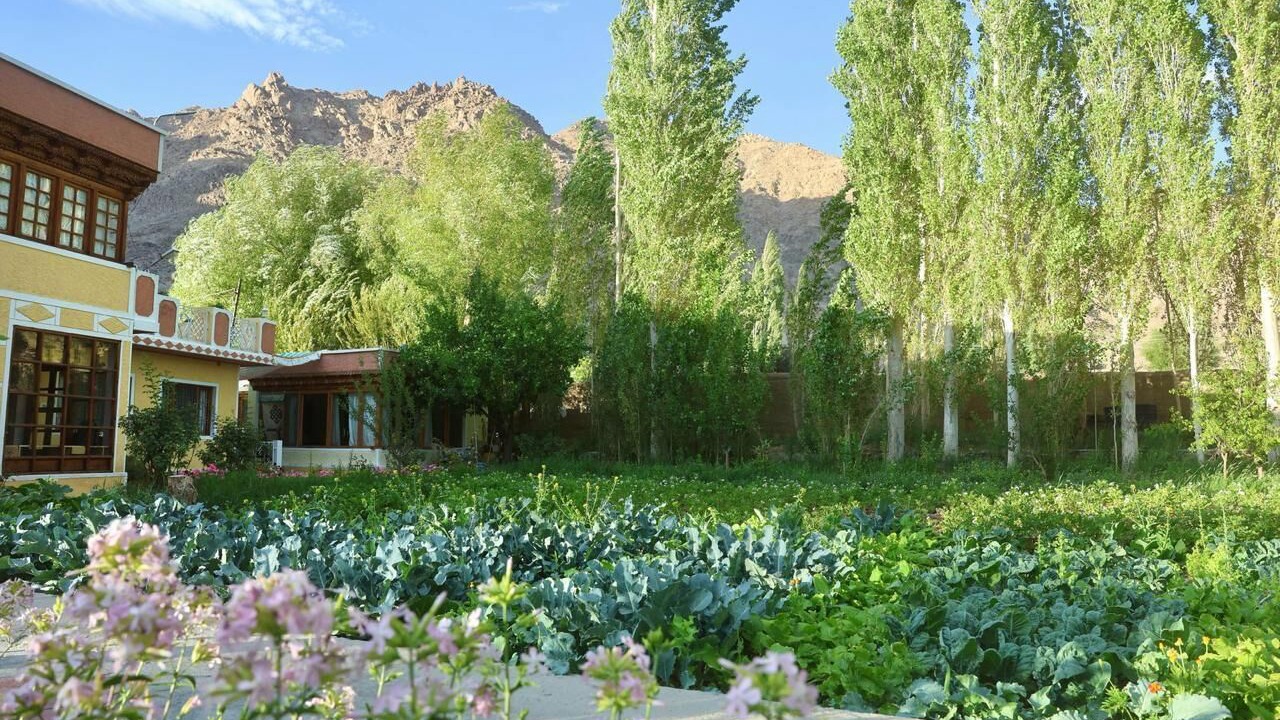 Photo of Outdoor in Leh