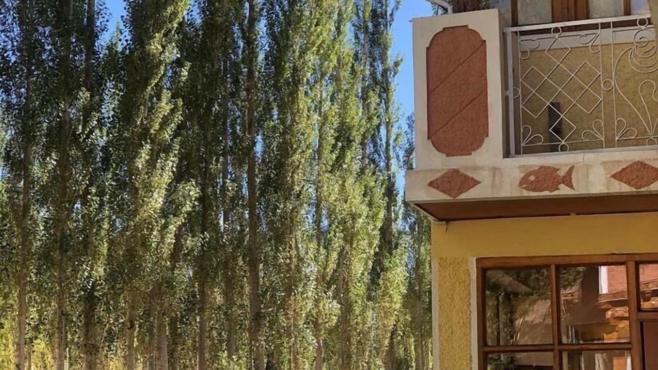 Photo of Outdoor in Leh