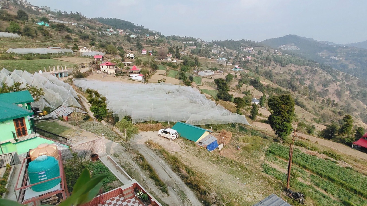 Photo of Outdoor in Shimla