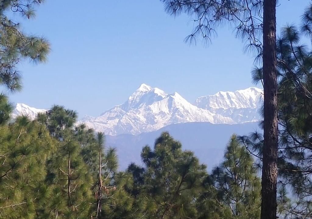 Photo of Outdoor in Jakh