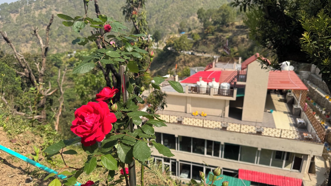 Photo of Outdoor in Jakh
