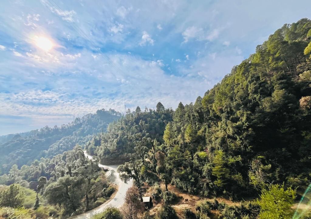 Photo of Bedroom in Shoghi