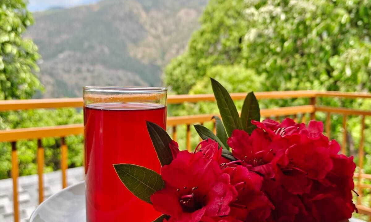 Photo of Outdoor in Tehri