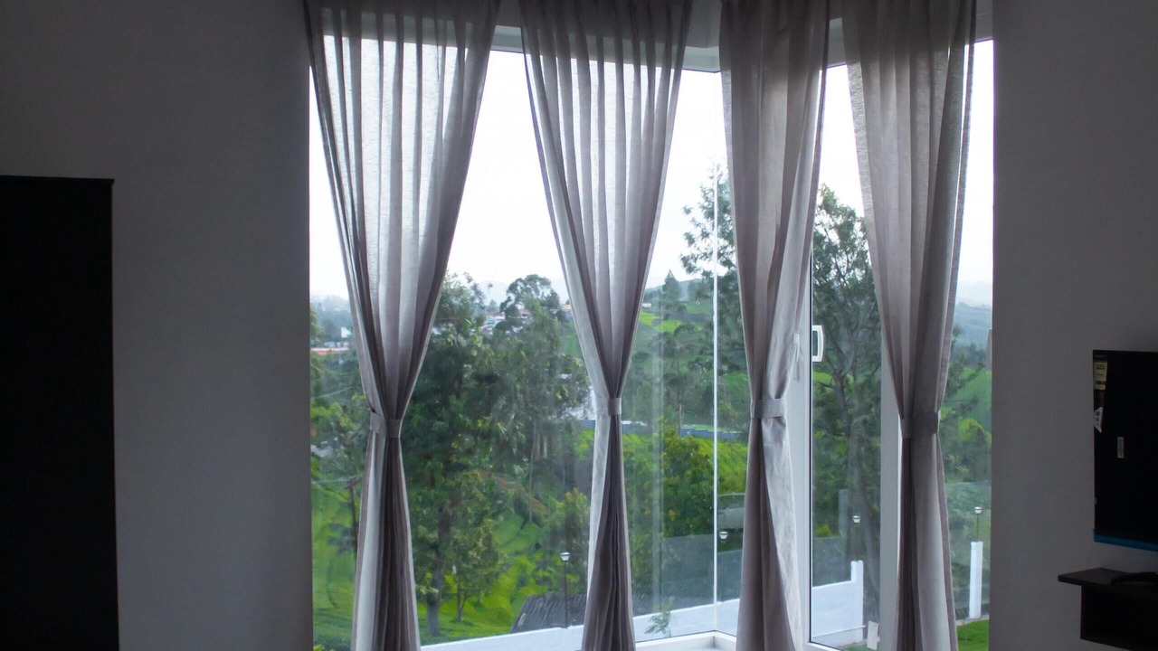 Photo of Outdoor in Wellington