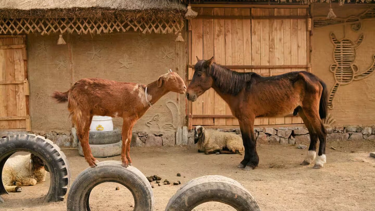 Photo of Others in Noida