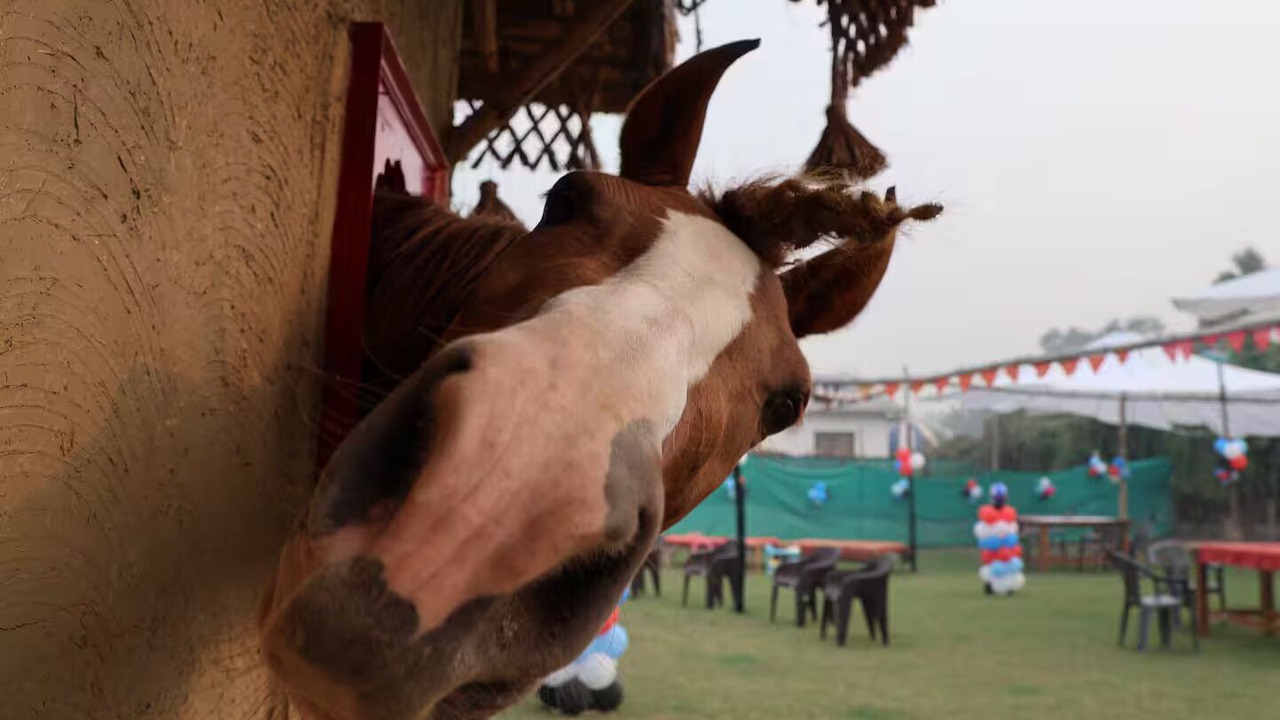 Photo of Others in Noida