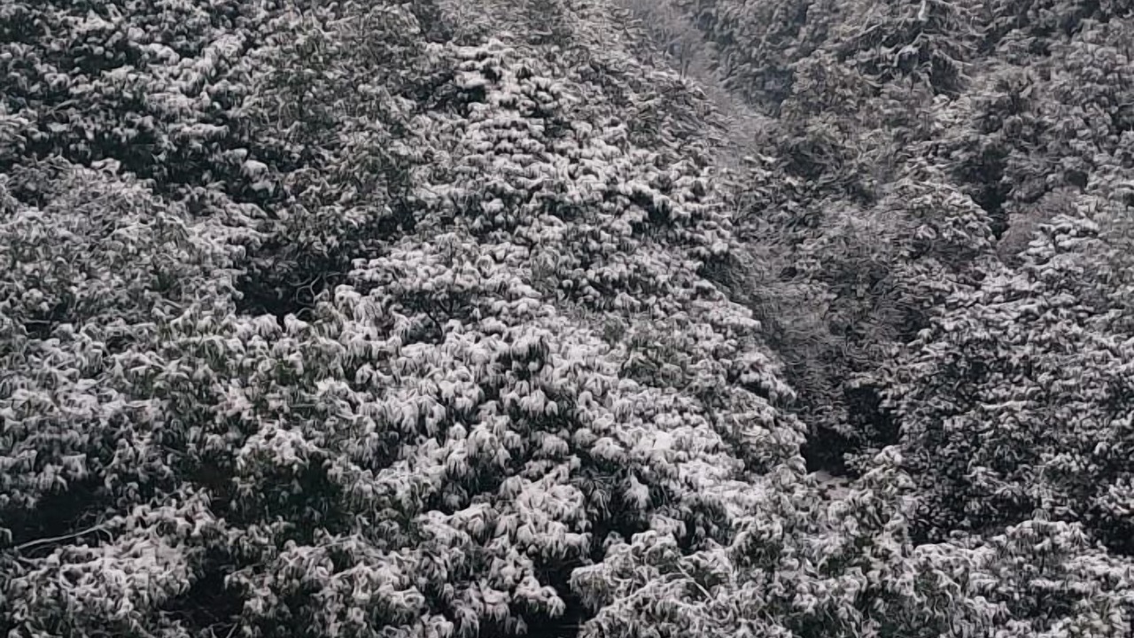 Photo of Outdoor in Dalhousie