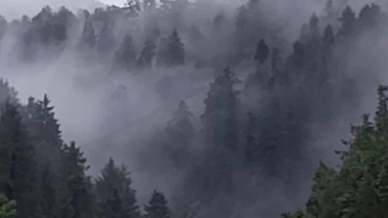 Photo of Outdoor in Dalhousie