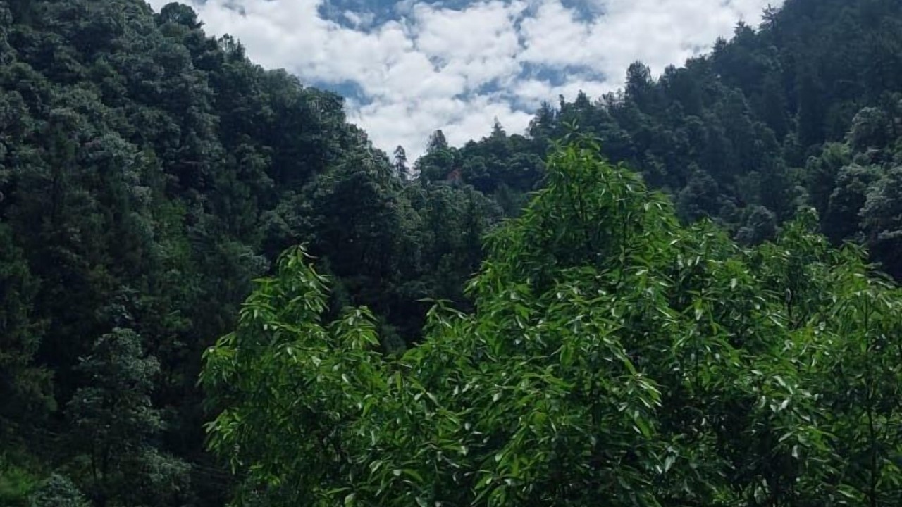 Photo of Outdoor in Dalhousie