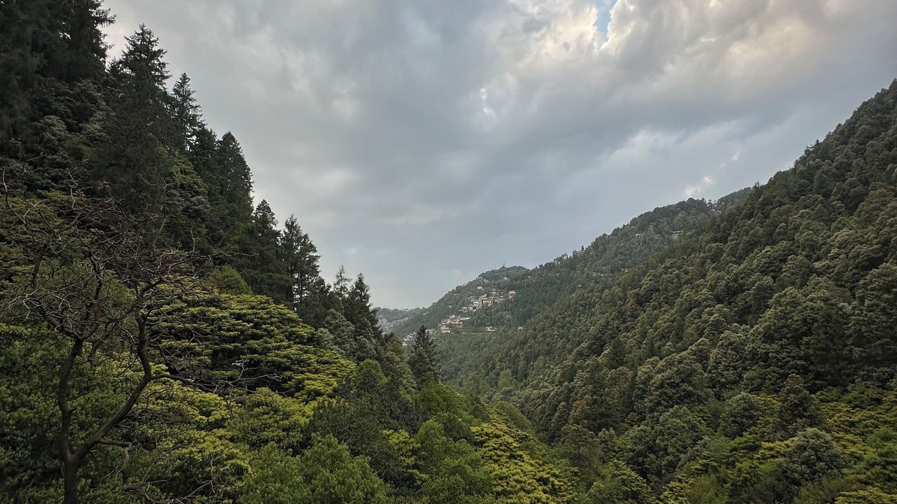 Photo of Others in Dalhousie