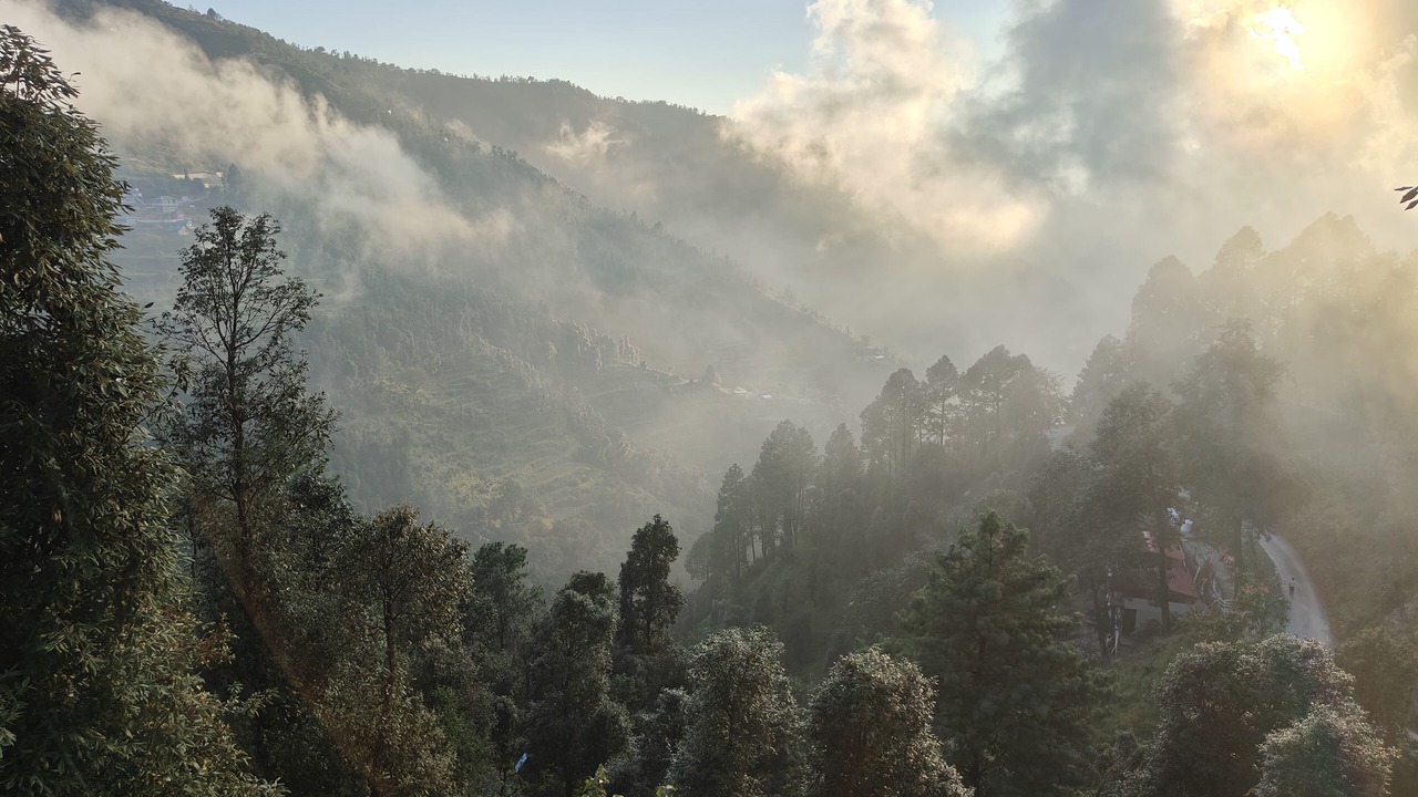 Photo of Others in Naina Range