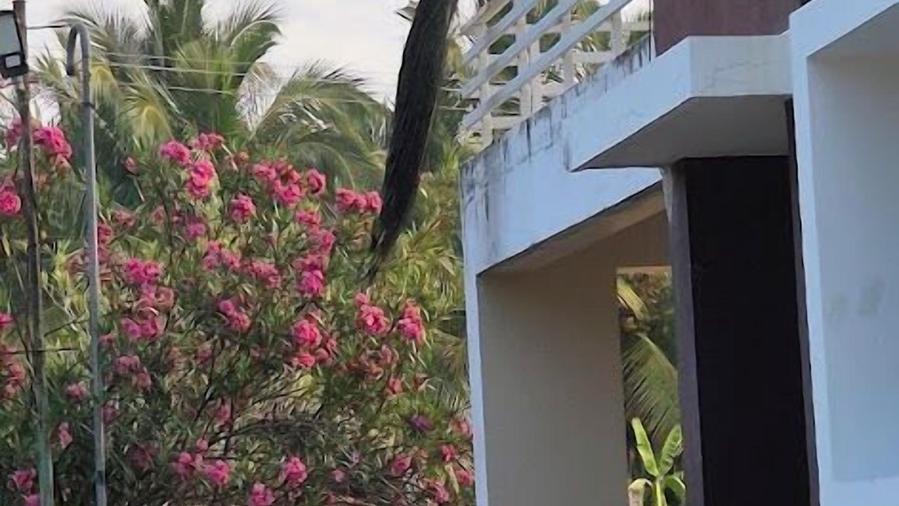 Photo of Bedroom in Coimbatore