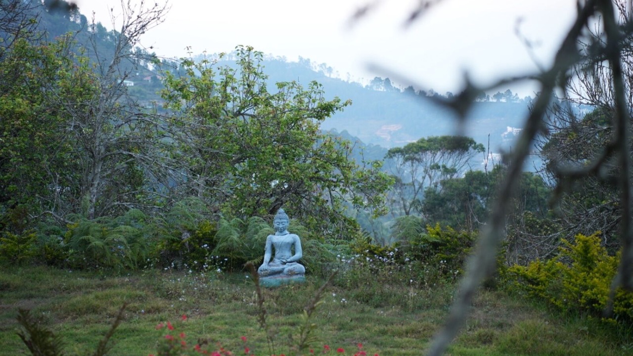 Photo of Outdoor in Kodaikanal