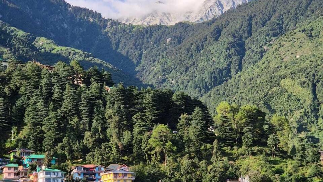 Photo of Others in McLeod Ganj