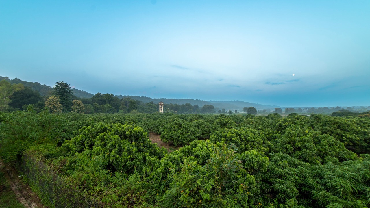 Photo of Outdoor in Belparao