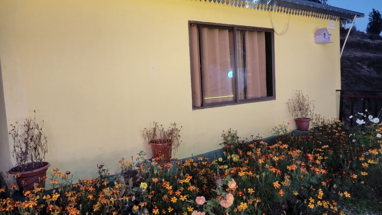 Photo of Outdoor in Kanatal