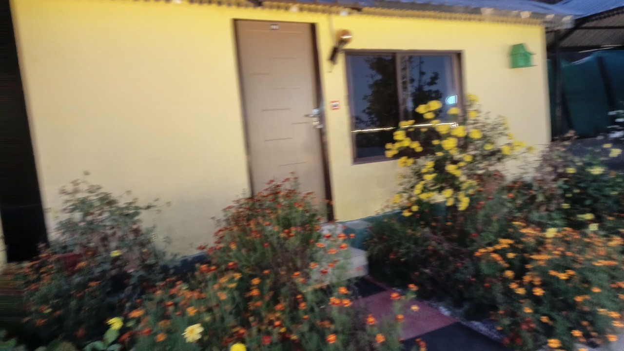 Photo of Outdoor in Kanatal